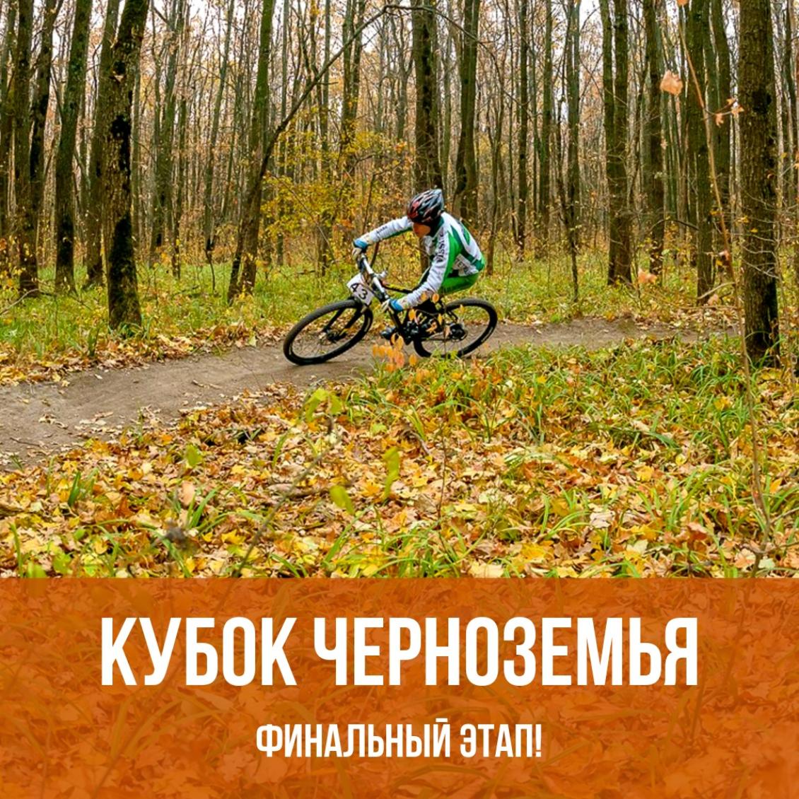 Финал Кубка Черноземья