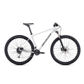 29" Specialized Rockhopper Expert